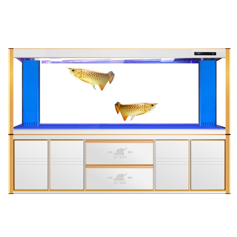 Aquarium Fish Online - Large Glass Aquarium Unique Fish Tank