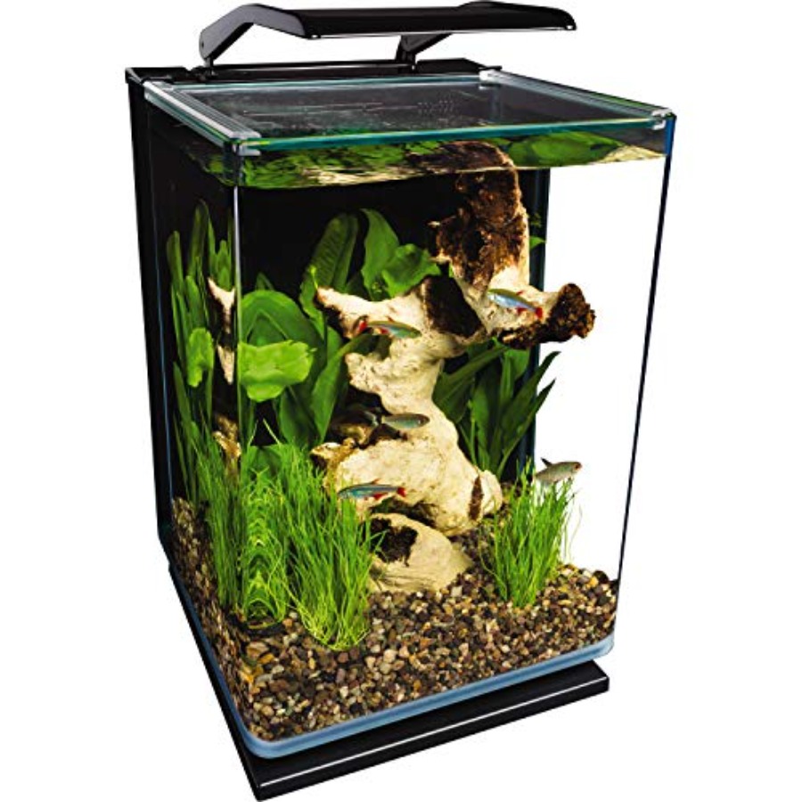 Aquarium Fish Low Maintenance - 5 Gallon Portrait Glass LED Aquarium