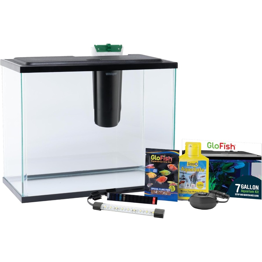 Tetra Fish In Aquarium - 6.6 Gallon Fish Tank Starter Kit