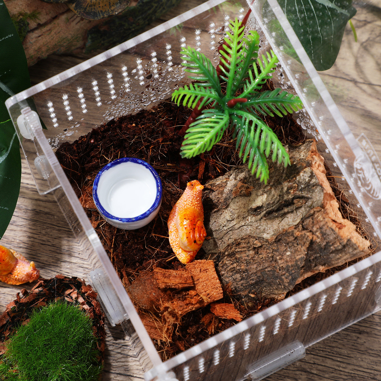Aquarium Fish Small - 12Pcs Fine Crafted Ceramic Water Feeder