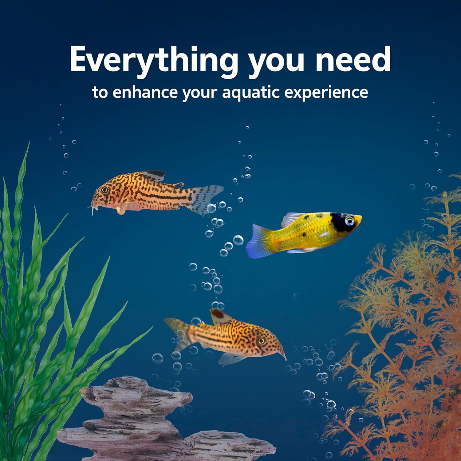 Aquarium Starter Kit with Smar - Tetra Fish In Aquarium のレビューと価格