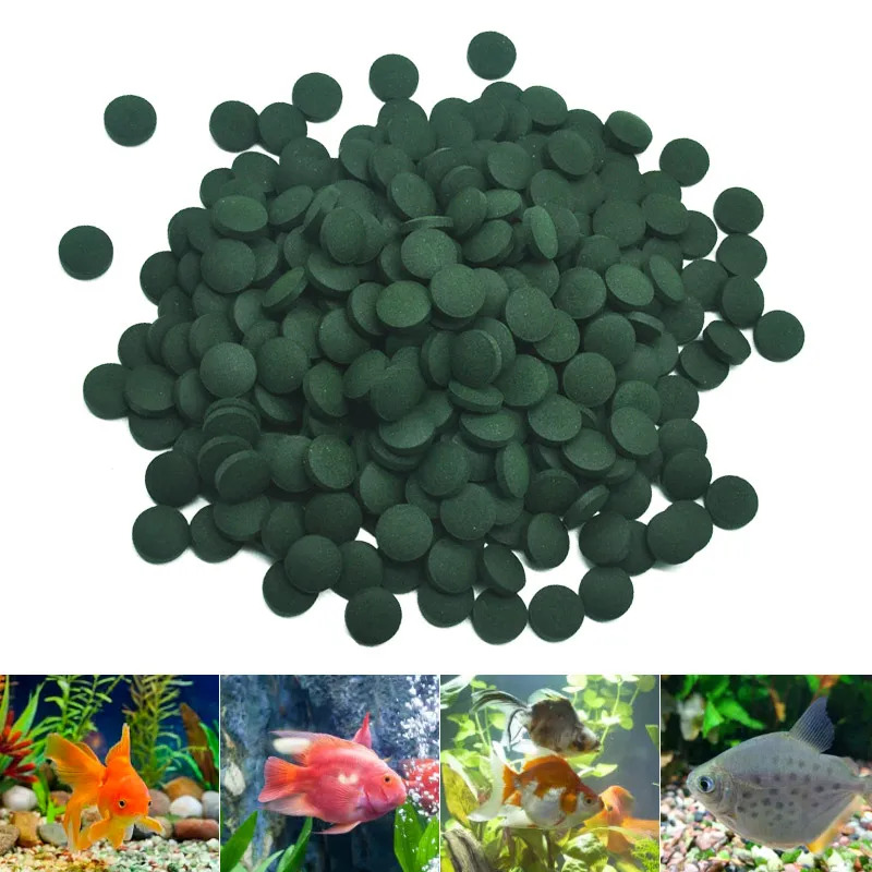 100-3000pc High Purity Spiruli - Aquarium Fish Price のレビューと価格