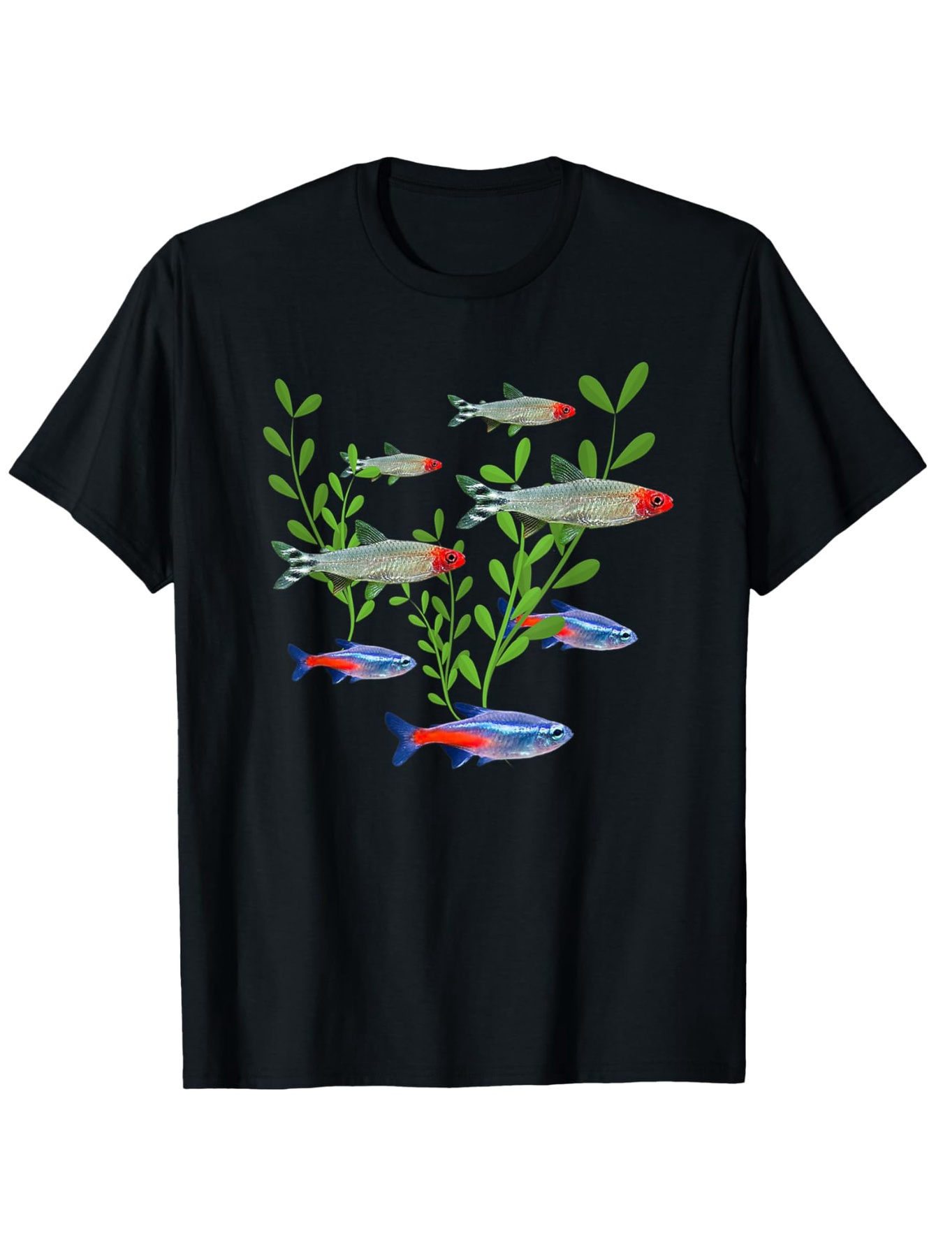 Men's Neon & Rummy Nose Tetras - Tetra Fish In Aquarium のレビューと価格