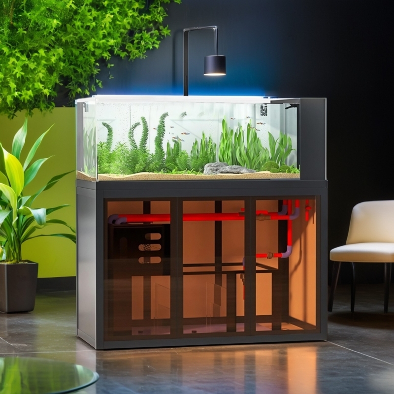 Industrial-style aquascape fis - Aquarium Fish Low Maintenance のレビューと価格