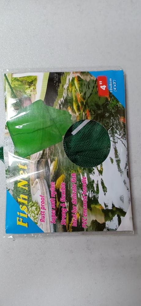 Export Quality Hotsale Aquariu - Aquarium Fish Exporter のレビューと価格