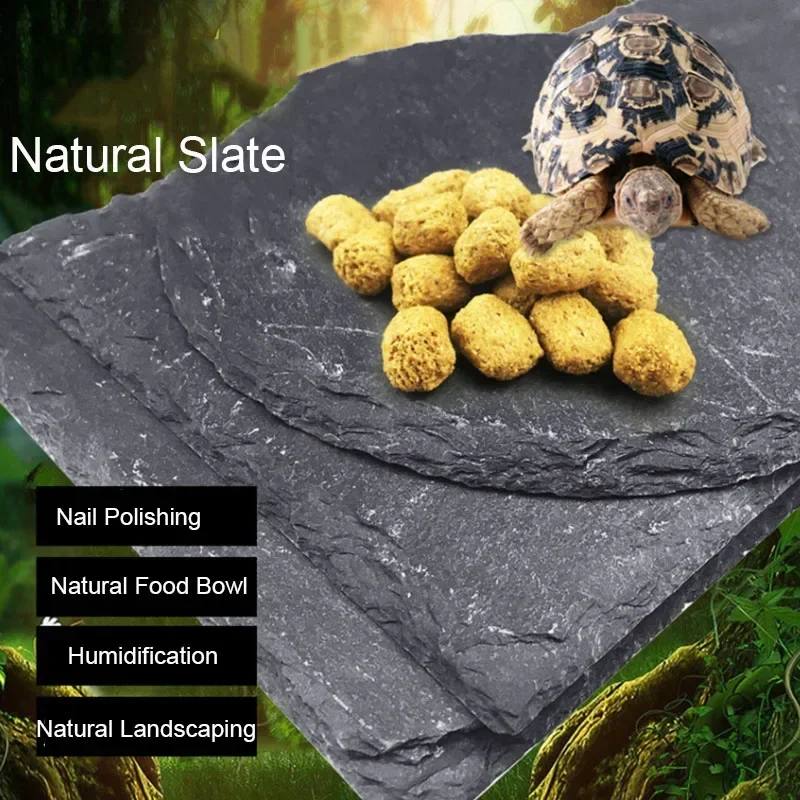 Natural Slate Aquarium Pet Rep - Aquarium Fish Price のレビューと価格