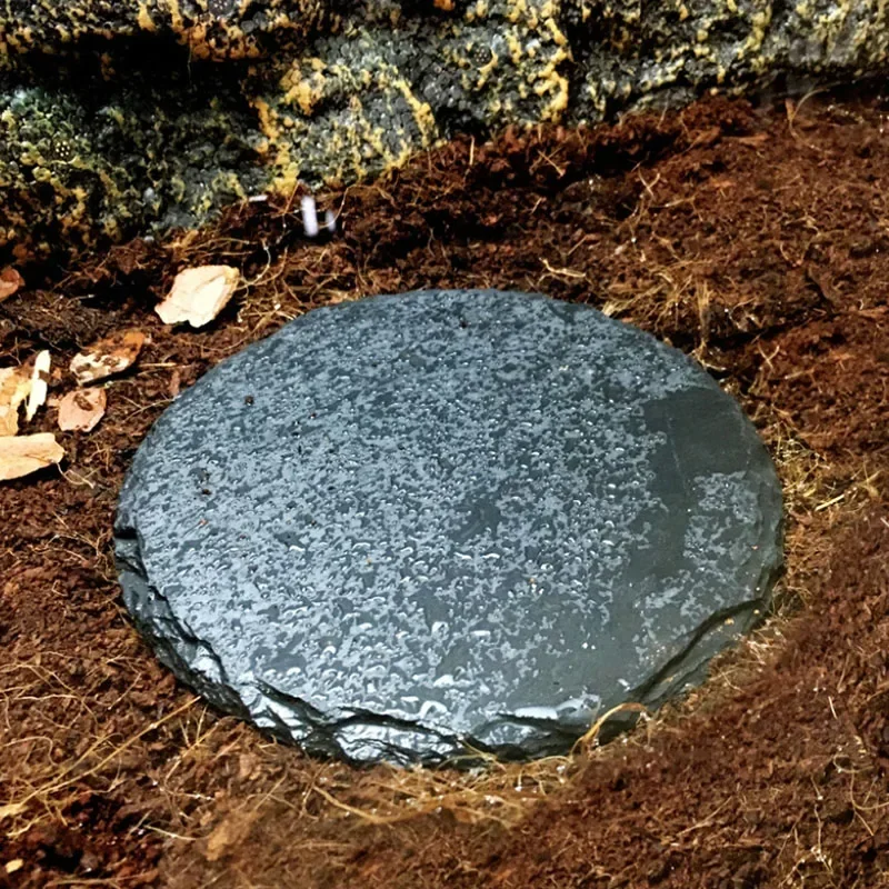 Natural Slate Aquarium Pet Rep - Aquarium Fish Price のレビューと価格
