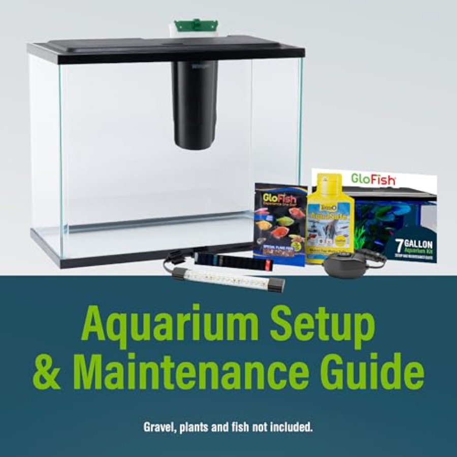 Aquarium Starter Kit 6.6 Gallo - Tetra Fish In Aquarium のレビューと価格
