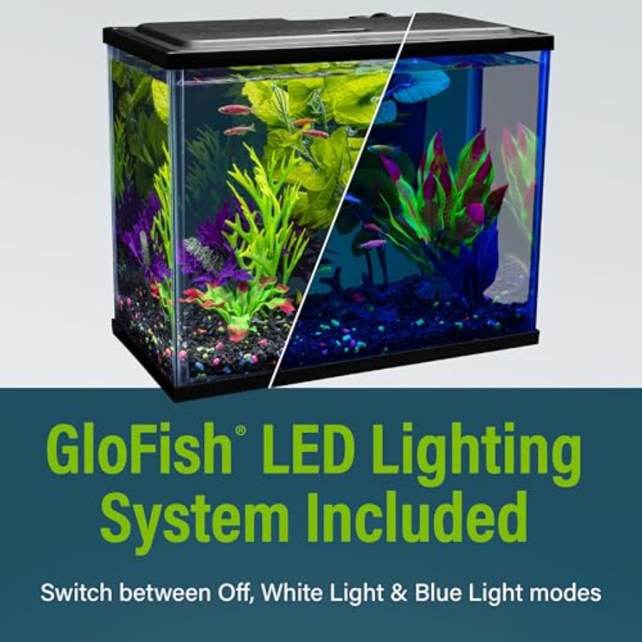 Aquarium Starter Kit 6.6 Gallo - Tetra Fish In Aquarium のレビューと価格