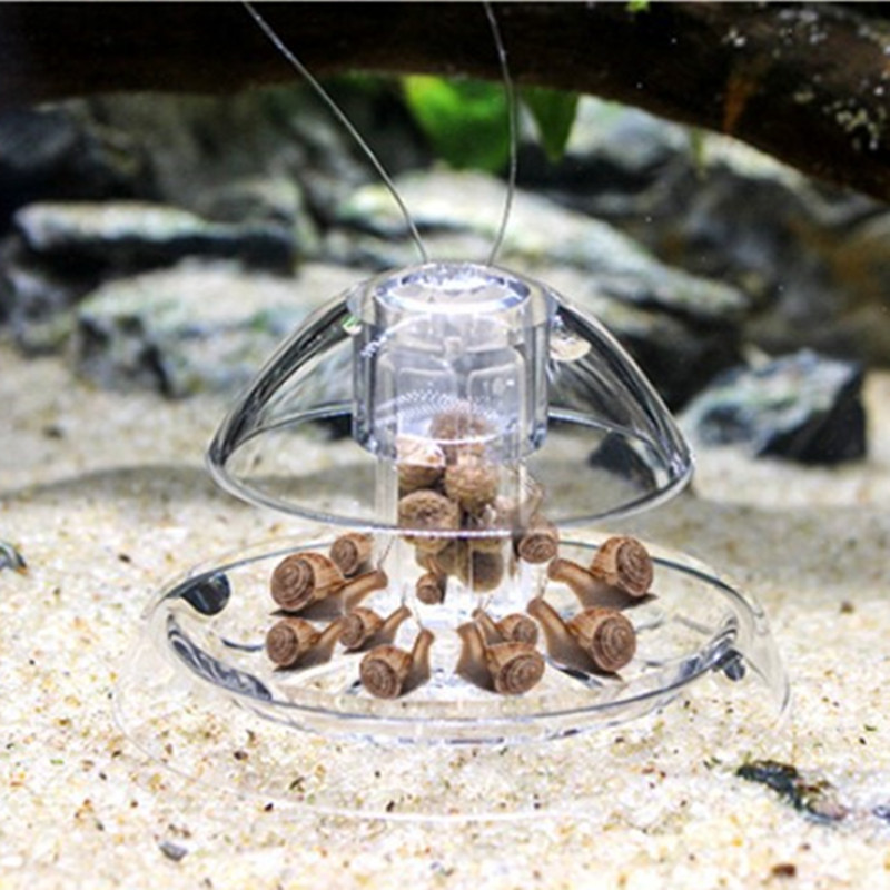 1PCS Fish Tank Aquarium Cleane - Aquarium Fish Escape のレビューと価格