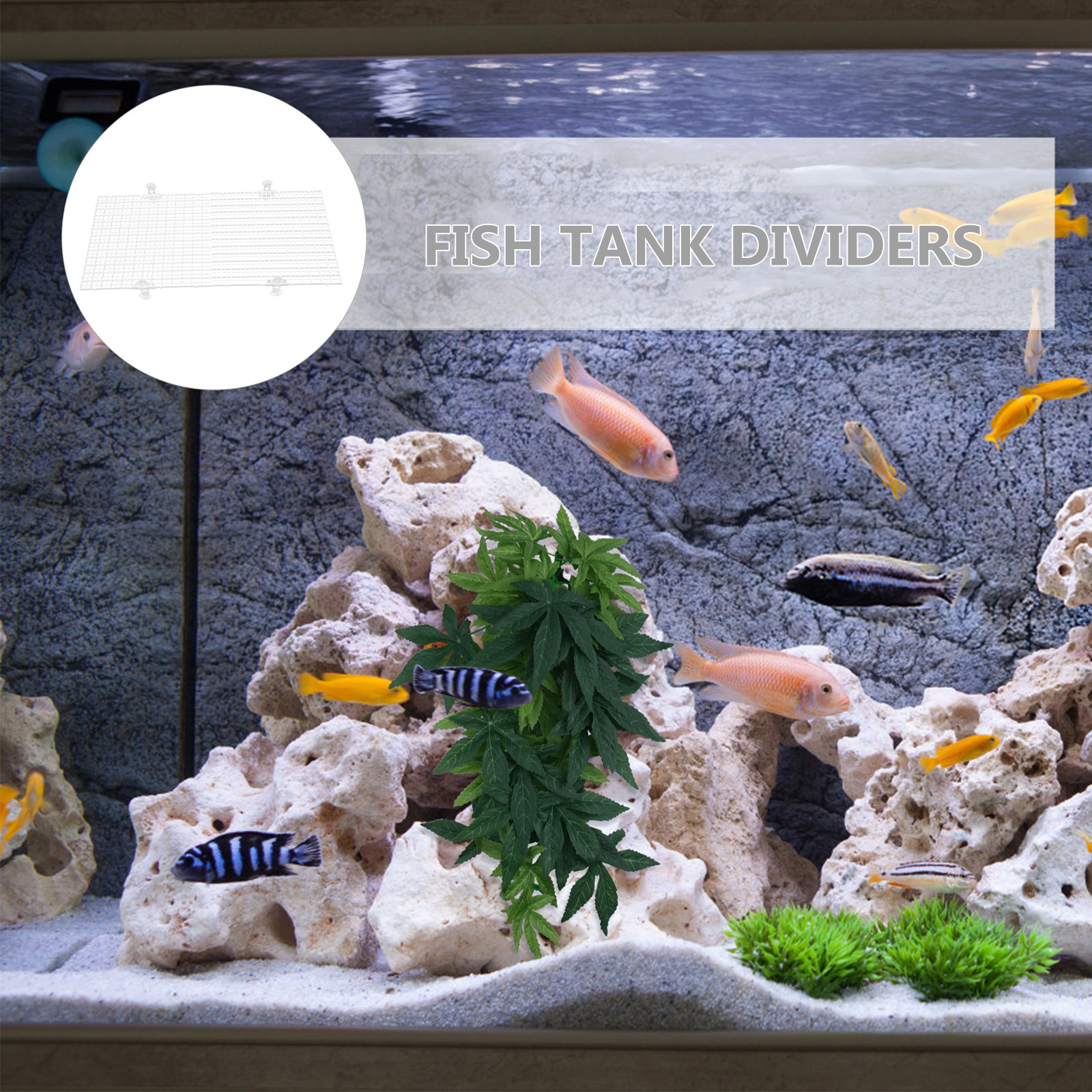 2Pcs Fish Tank Divider Aquariu - Aquarium Fish Escape のレビューと価格