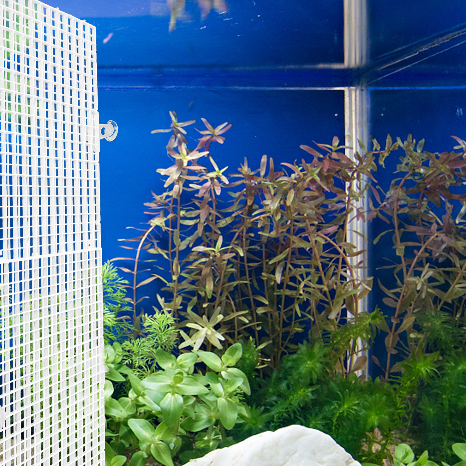2Pcs Fish Tank Divider Aquariu - Aquarium Fish Escape のレビューと価格