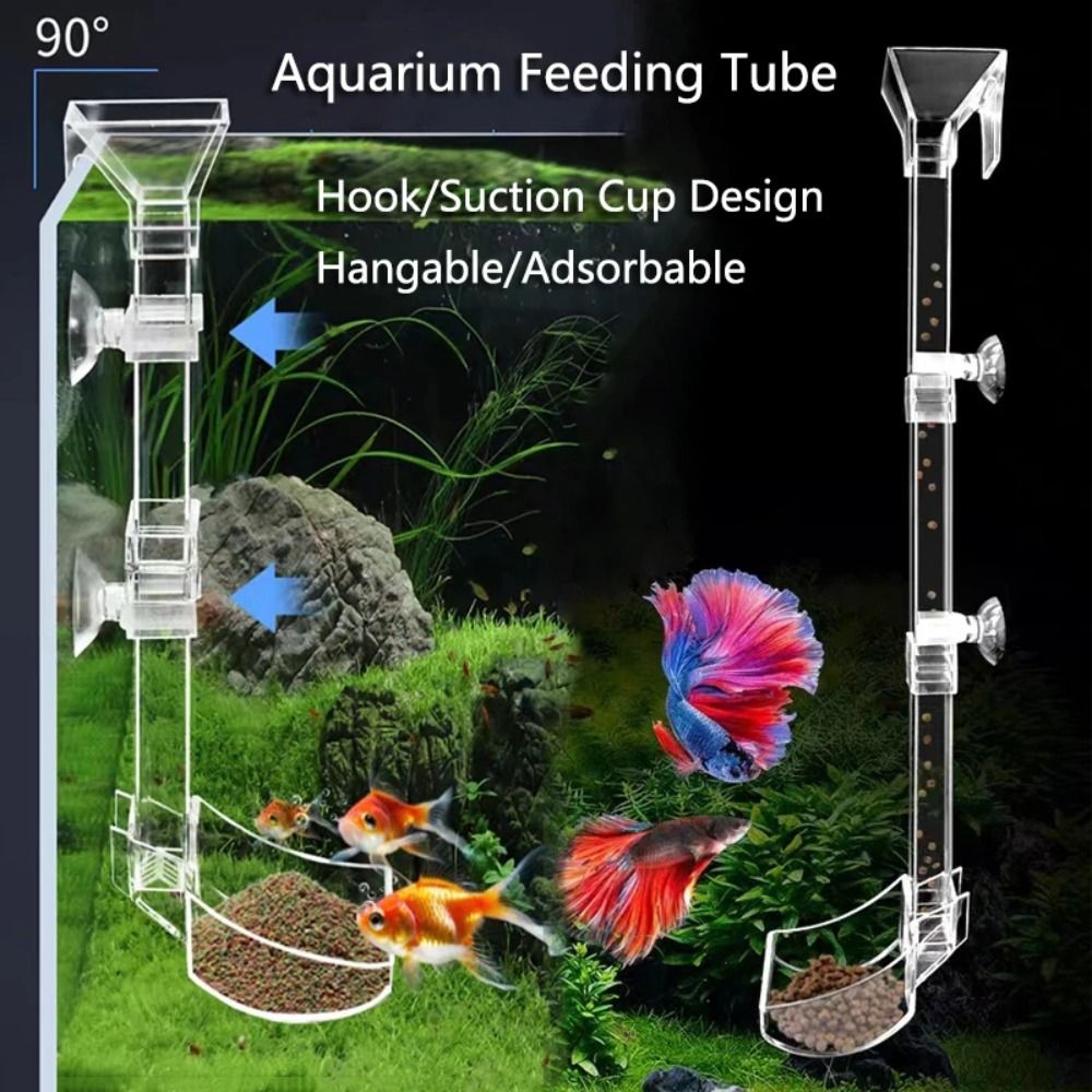 New Transparent Aquarium Fish  - Aquarium Fish Price のレビューと価格