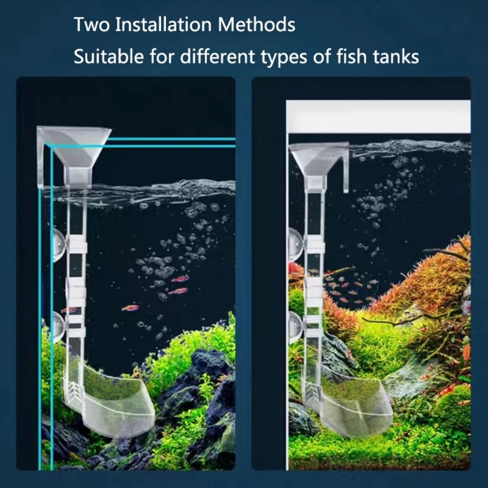 New Transparent Aquarium Fish  - Aquarium Fish Price のレビューと価格