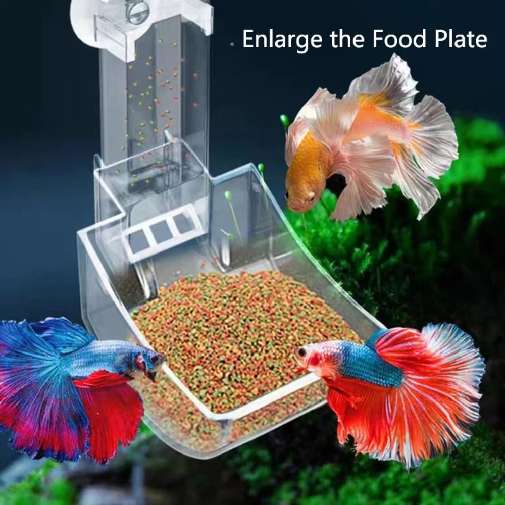 New Transparent Aquarium Fish  - Aquarium Fish Price のレビューと価格
