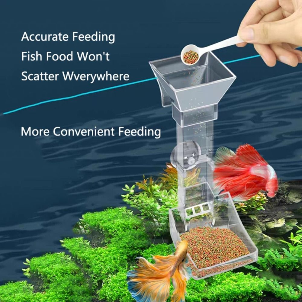 New Transparent Aquarium Fish  - Aquarium Fish Price のレビューと価格