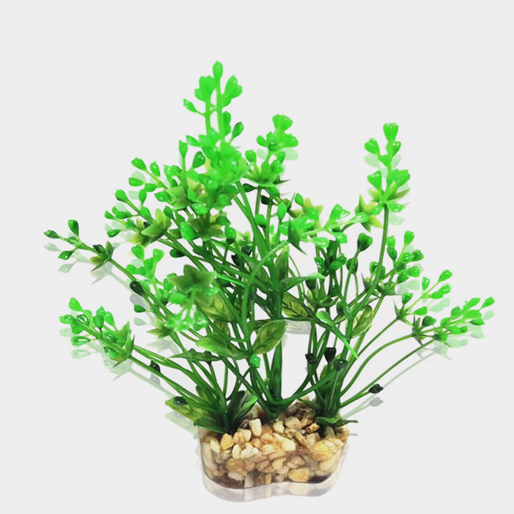 2Pcs Simulated Green Plastic A - Aquarium Fish Low Maintenance のレビューと価格