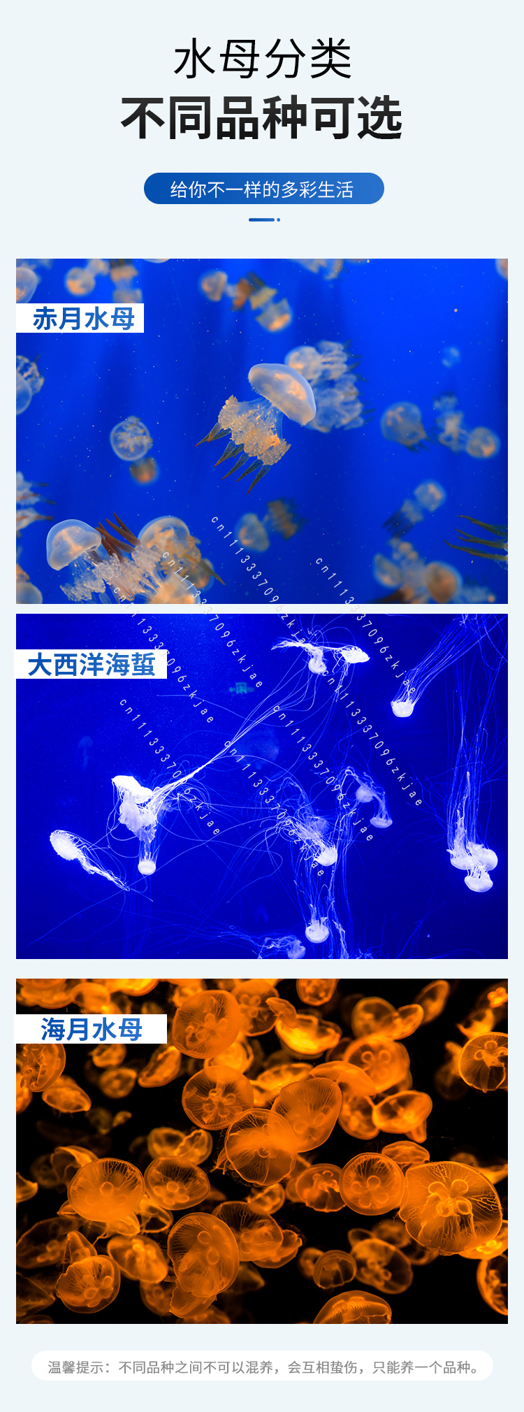 8L/18L/50L Acrylic Jellyfish F - Aquarium Fish Small のレビューと価格