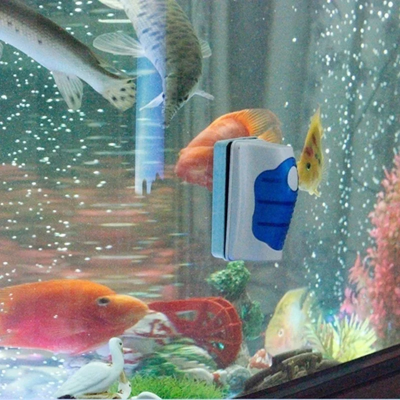 Fish Tank Glass Scraper Cleane - Aquarium Fish Escape のレビューと価格