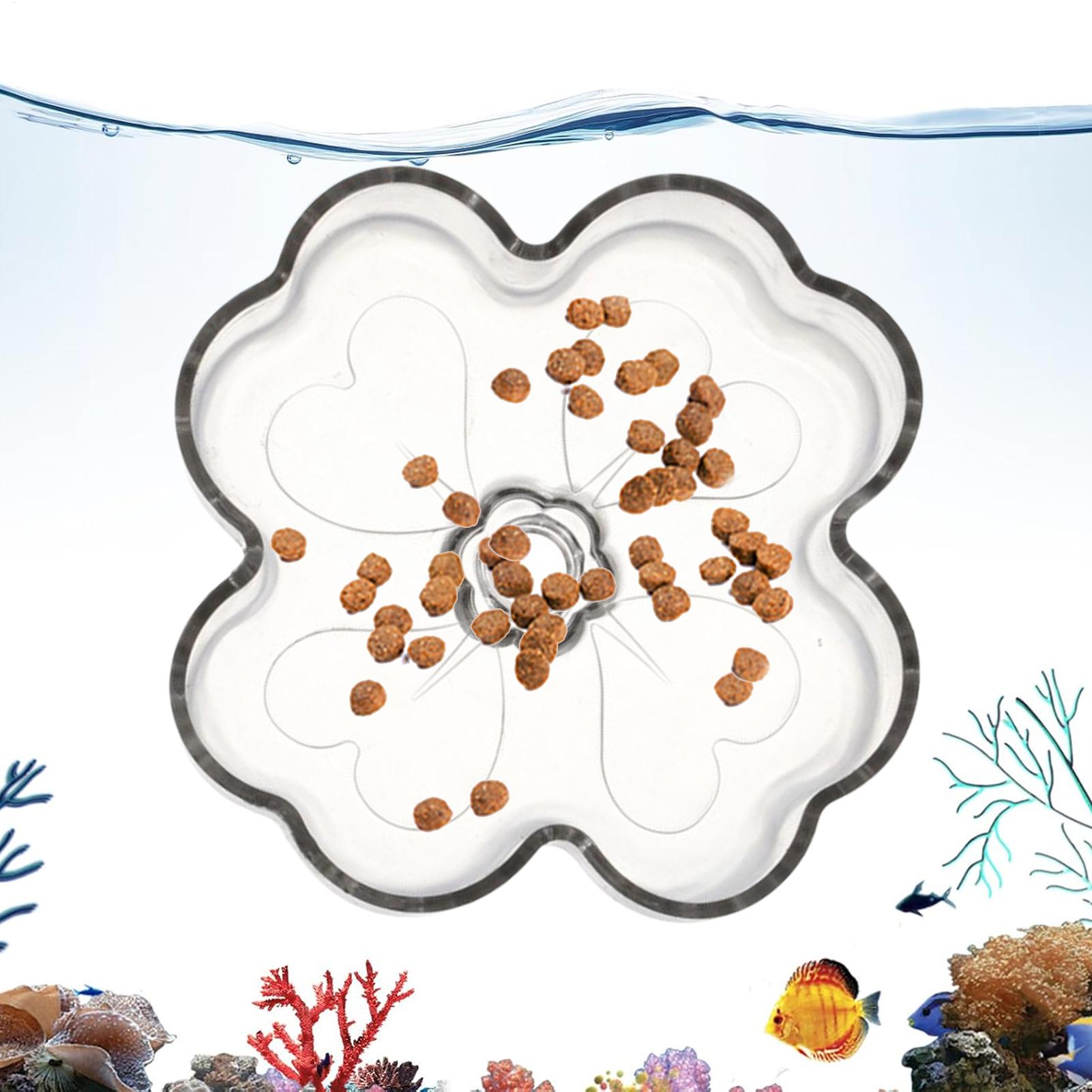 Aquarium Feeder Tray Suction C - Tetra Fish In Aquarium のレビューと価格