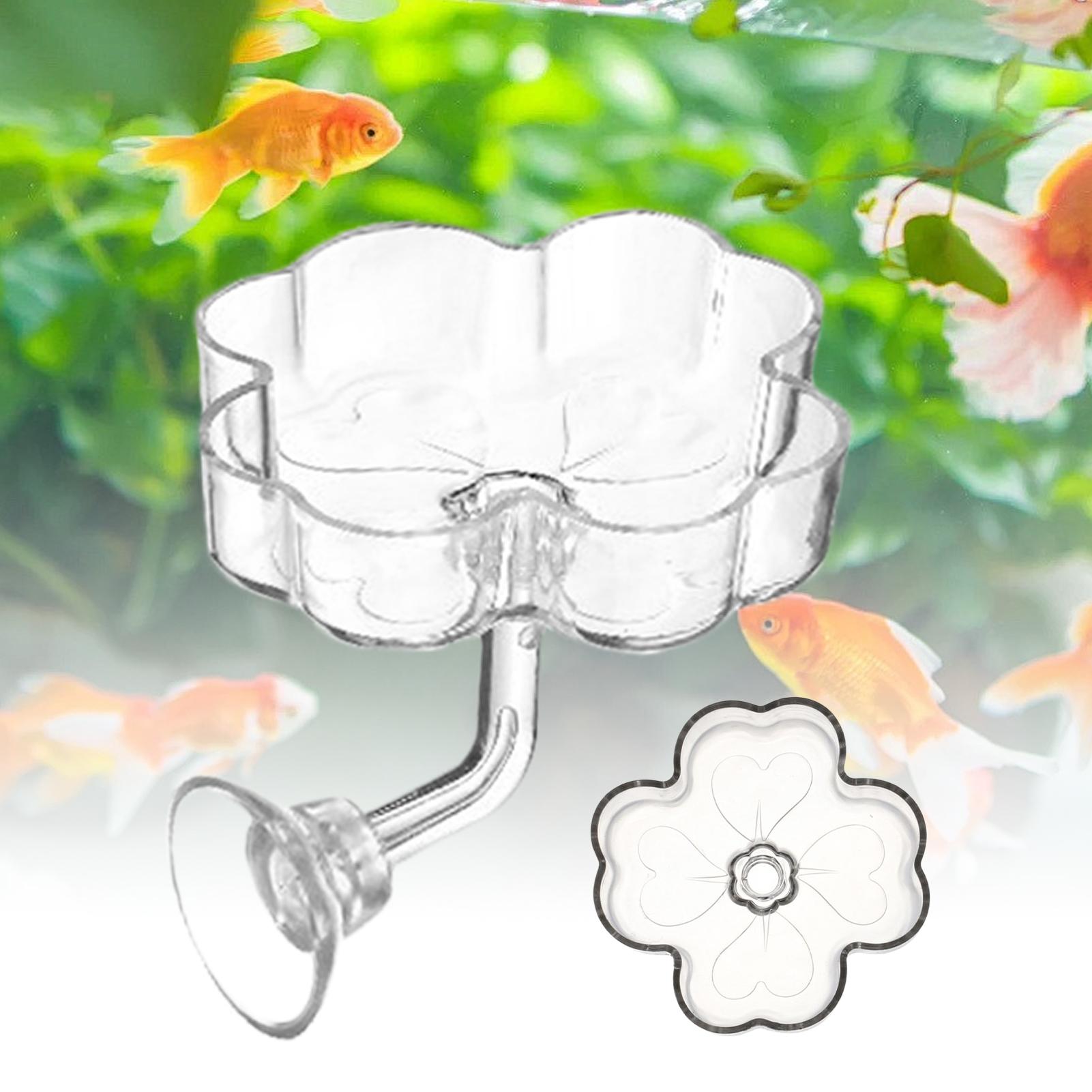 Aquarium Feeder Tray Suction C - Tetra Fish In Aquarium のレビューと価格