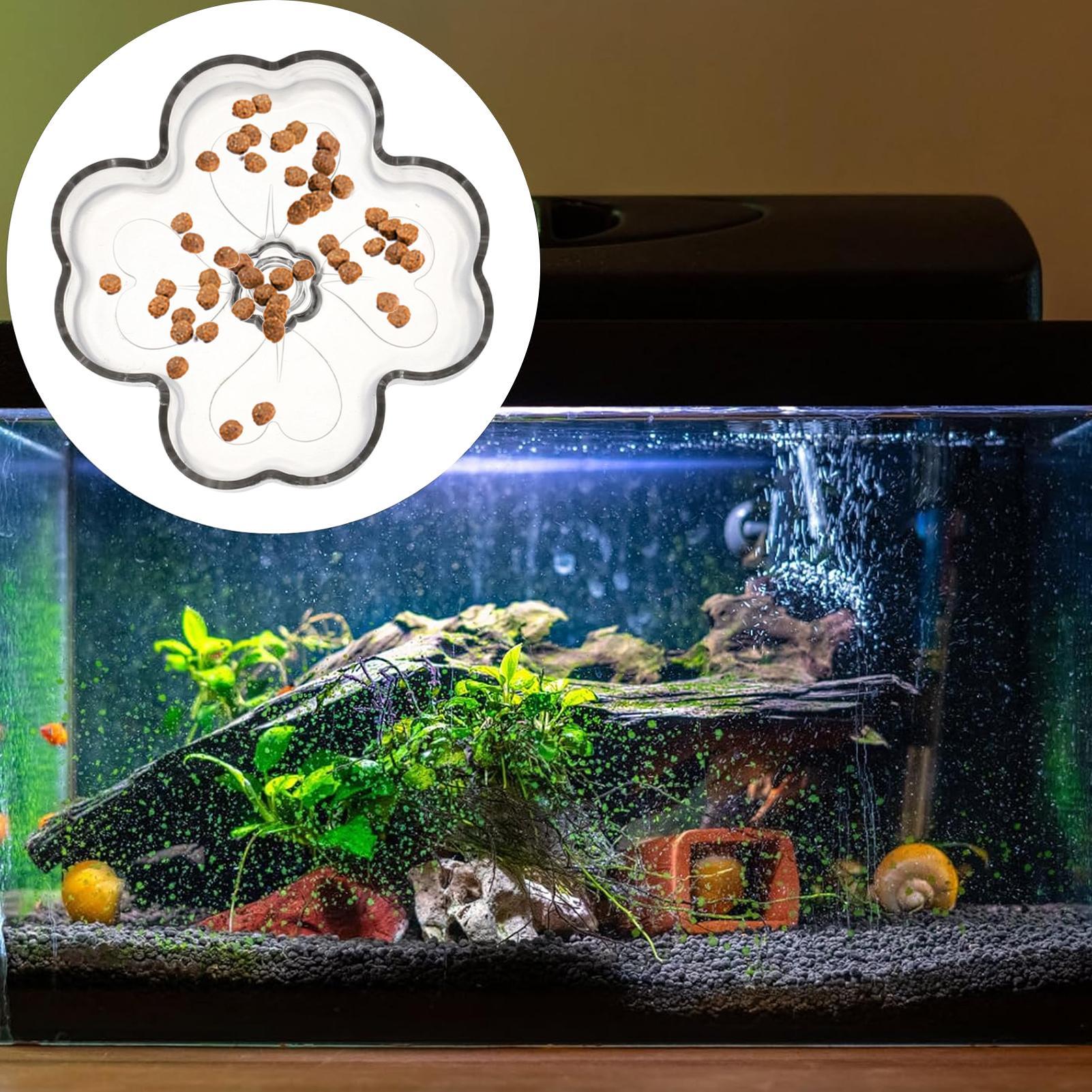 Aquarium Feeder Tray Suction C - Tetra Fish In Aquarium のレビューと価格