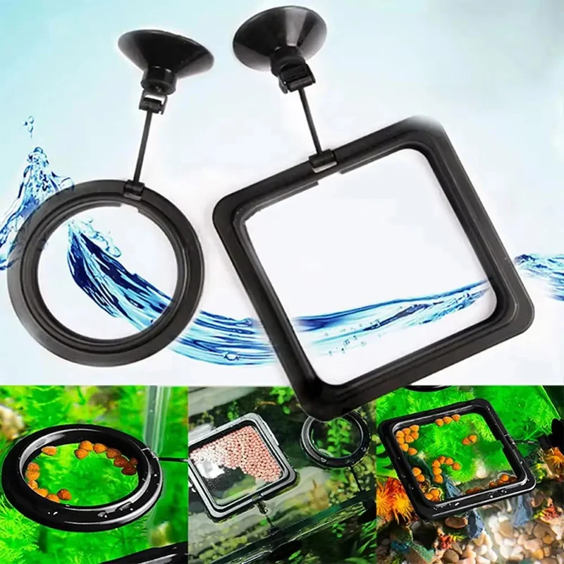 1-5pcs Aquarium Feeding Ring F - Aquarium Fish Price のレビューと価格