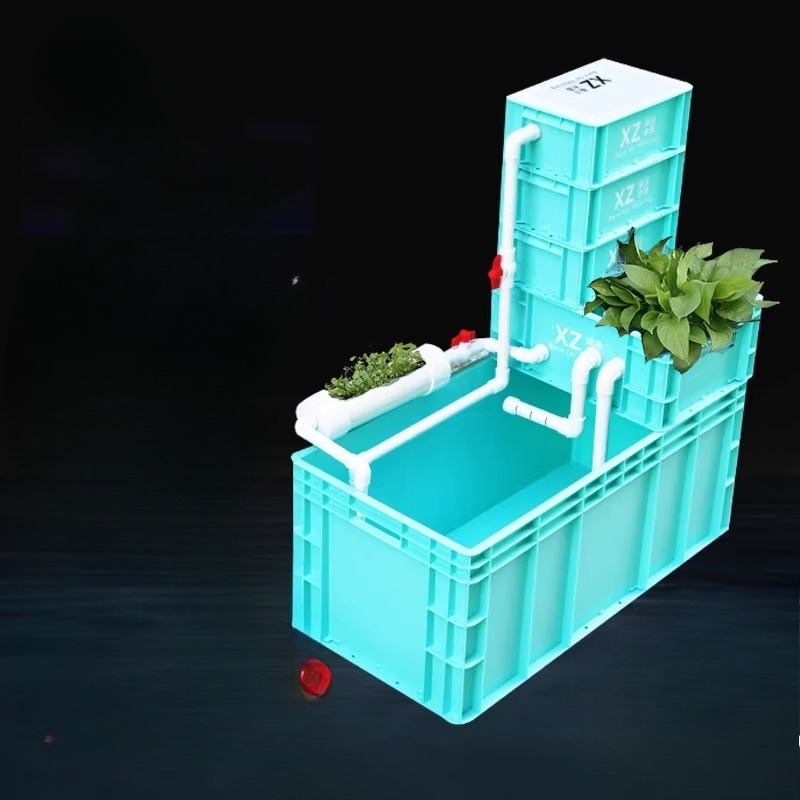 Turtle Tank with Built-in Filt - Aquarium Fish Low Maintenance のレビューと価格
