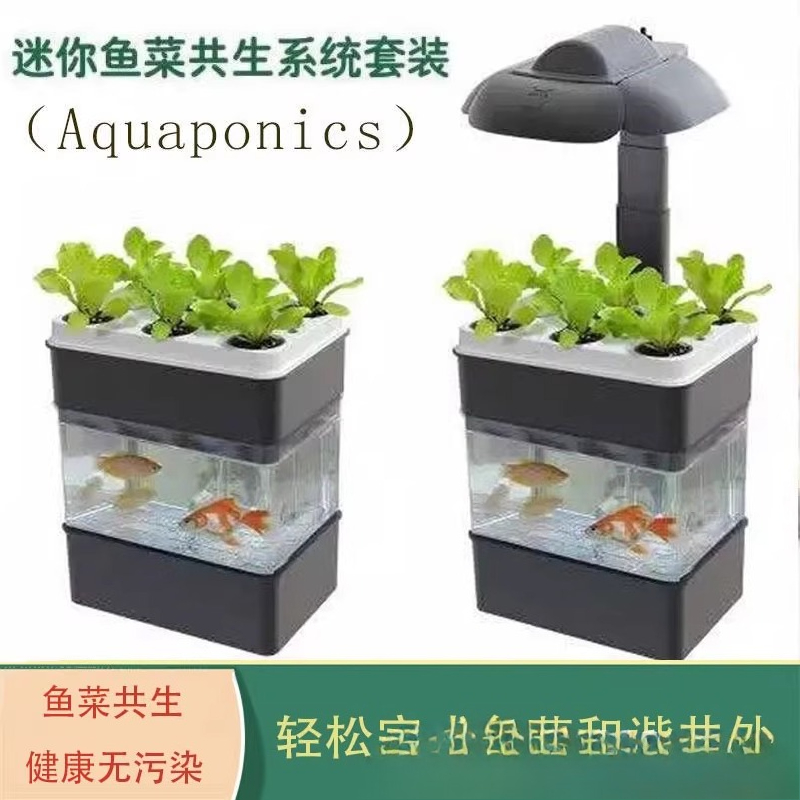 Export fish tank aquarium smal - Aquarium Fish Exporter のレビューと価格