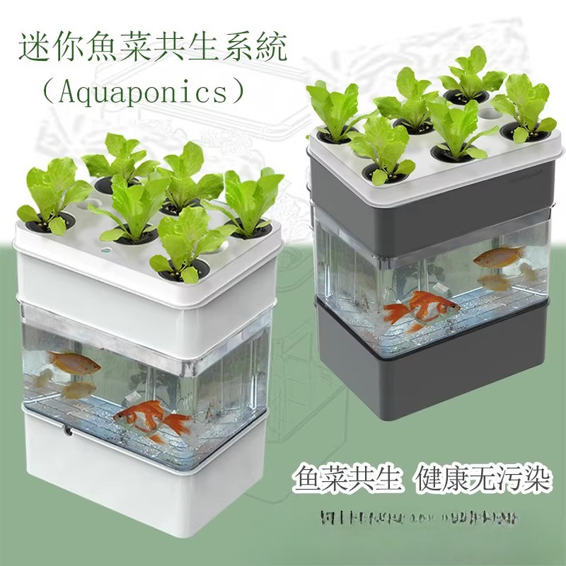 Export fish tank aquarium smal - Aquarium Fish Exporter のレビューと価格