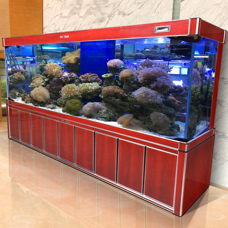 Large Glass Aquarium Unique Fi - Aquarium Fish Online のレビューと価格