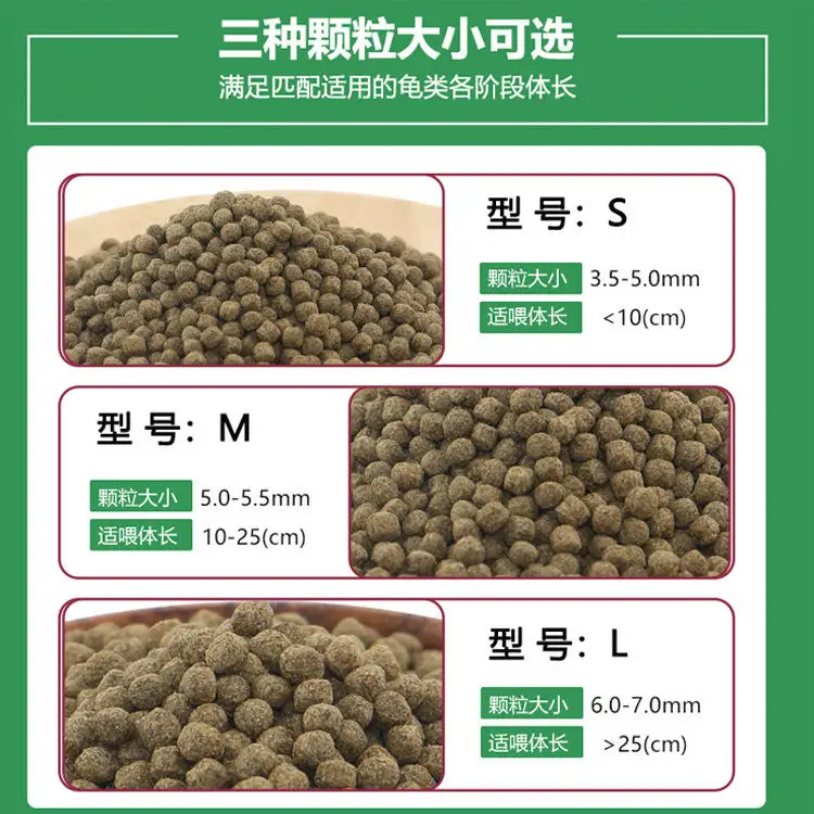 wholesale export high-quality  - Aquarium Fish Exporter のレビューと価格