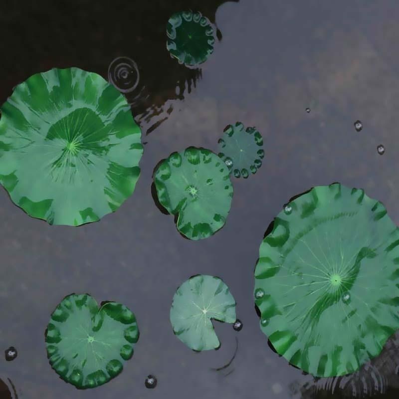 2026 Artificial Water Lily Lot - Aquarium Fish Escape のレビューと価格