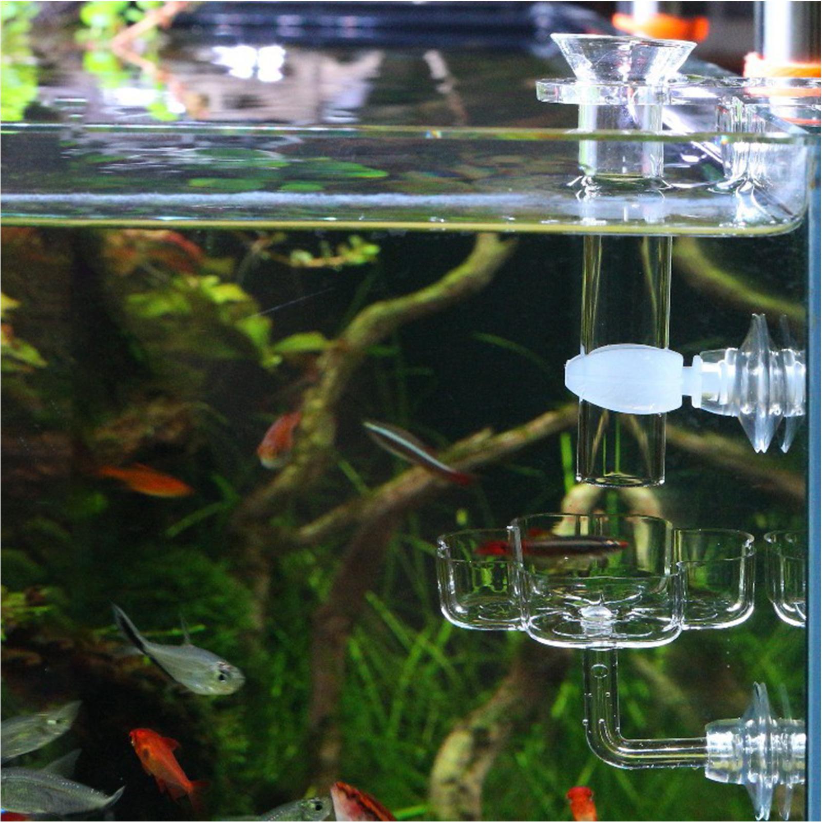Aquarium Feeder Suction Cup Fl - Tetra Fish In Aquarium のレビューと価格