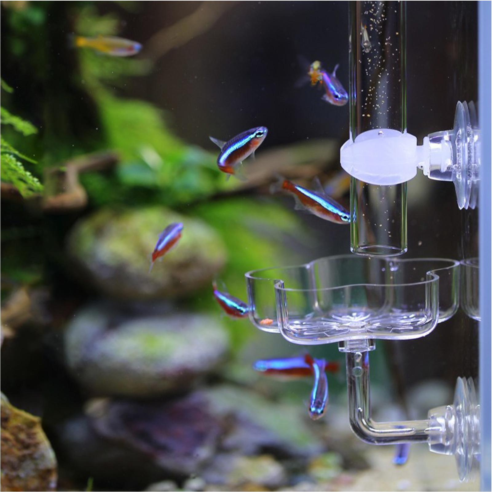 Aquarium Feeder Suction Cup Fl - Tetra Fish In Aquarium のレビューと価格