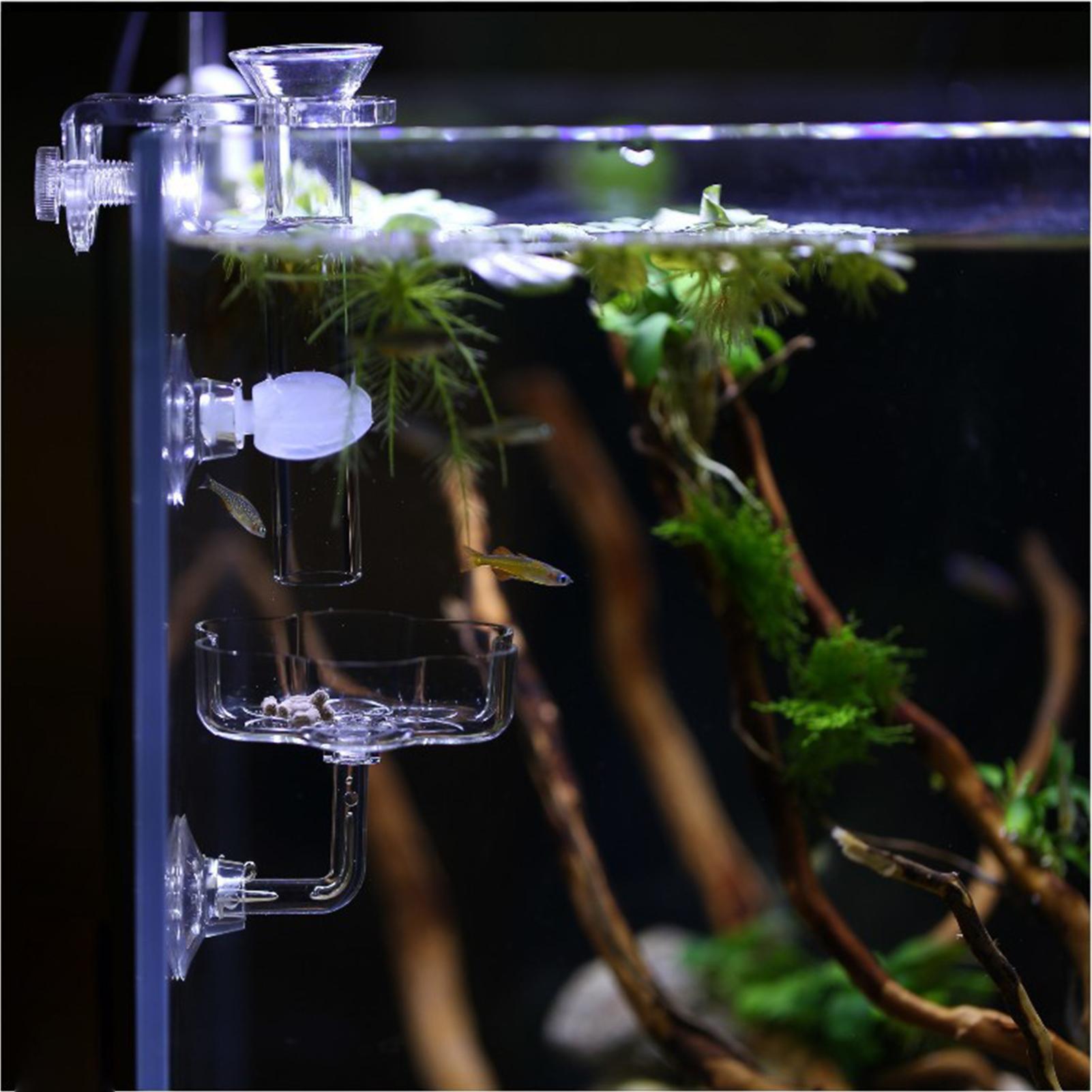 Aquarium Feeder Suction Cup Fl - Tetra Fish In Aquarium のレビューと価格
