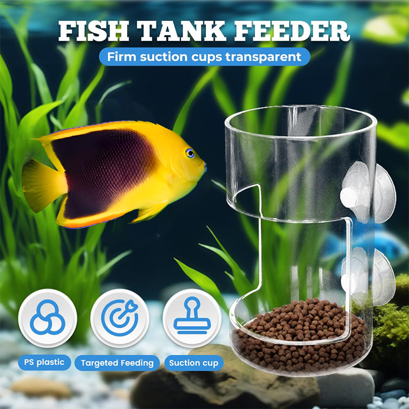 New Fish Tank Dish Tray With S - Aquarium Fish Price のレビューと価格
