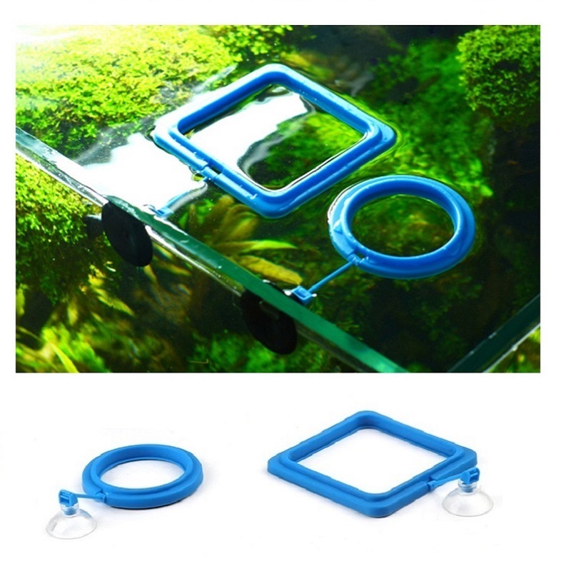 Fish Feeding Ring Feeder Fishi - Tetra Fish In Aquarium のレビューと価格