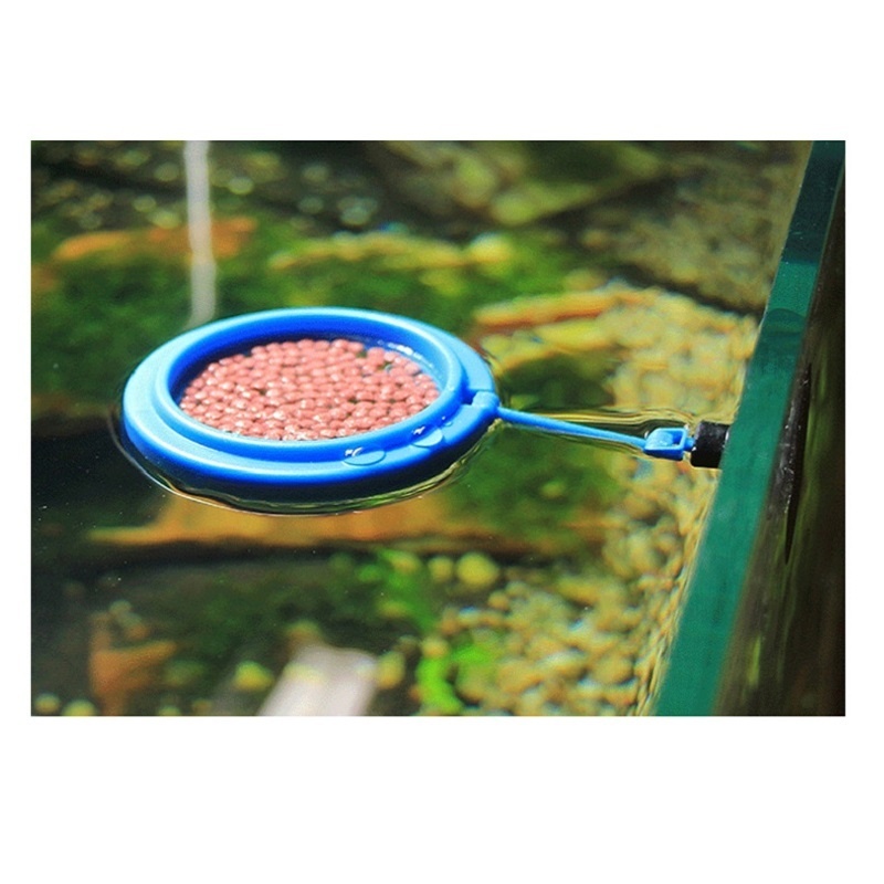 Fish Feeding Ring Feeder Fishi - Tetra Fish In Aquarium のレビューと価格