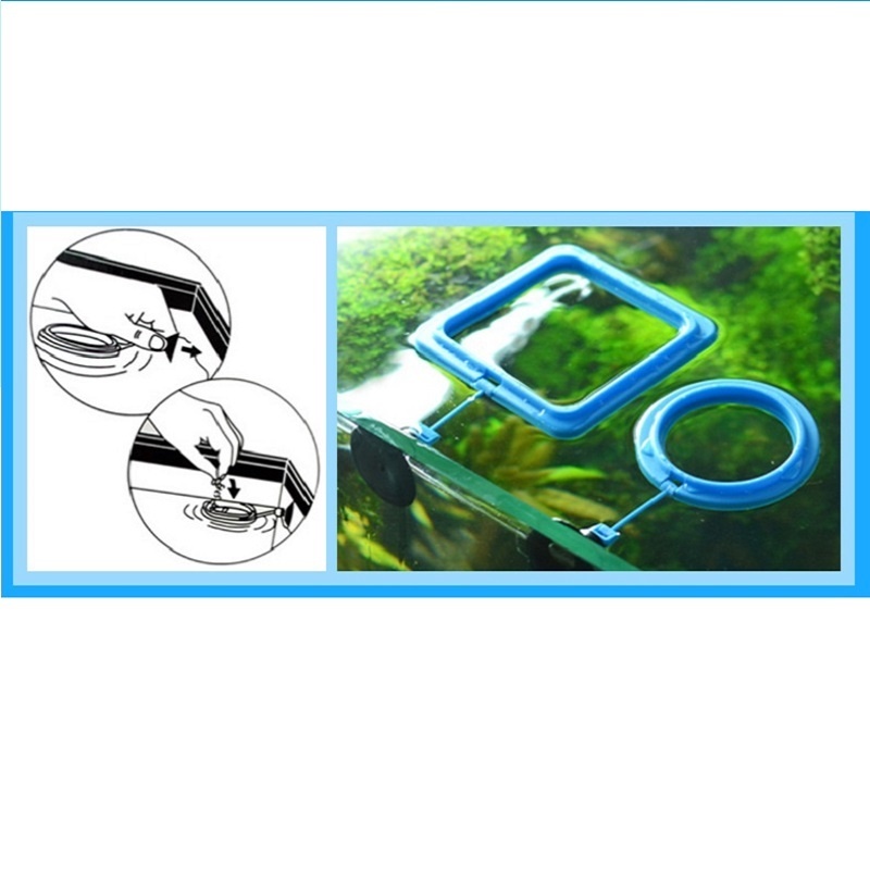 Fish Feeding Ring Feeder Fishi - Tetra Fish In Aquarium のレビューと価格