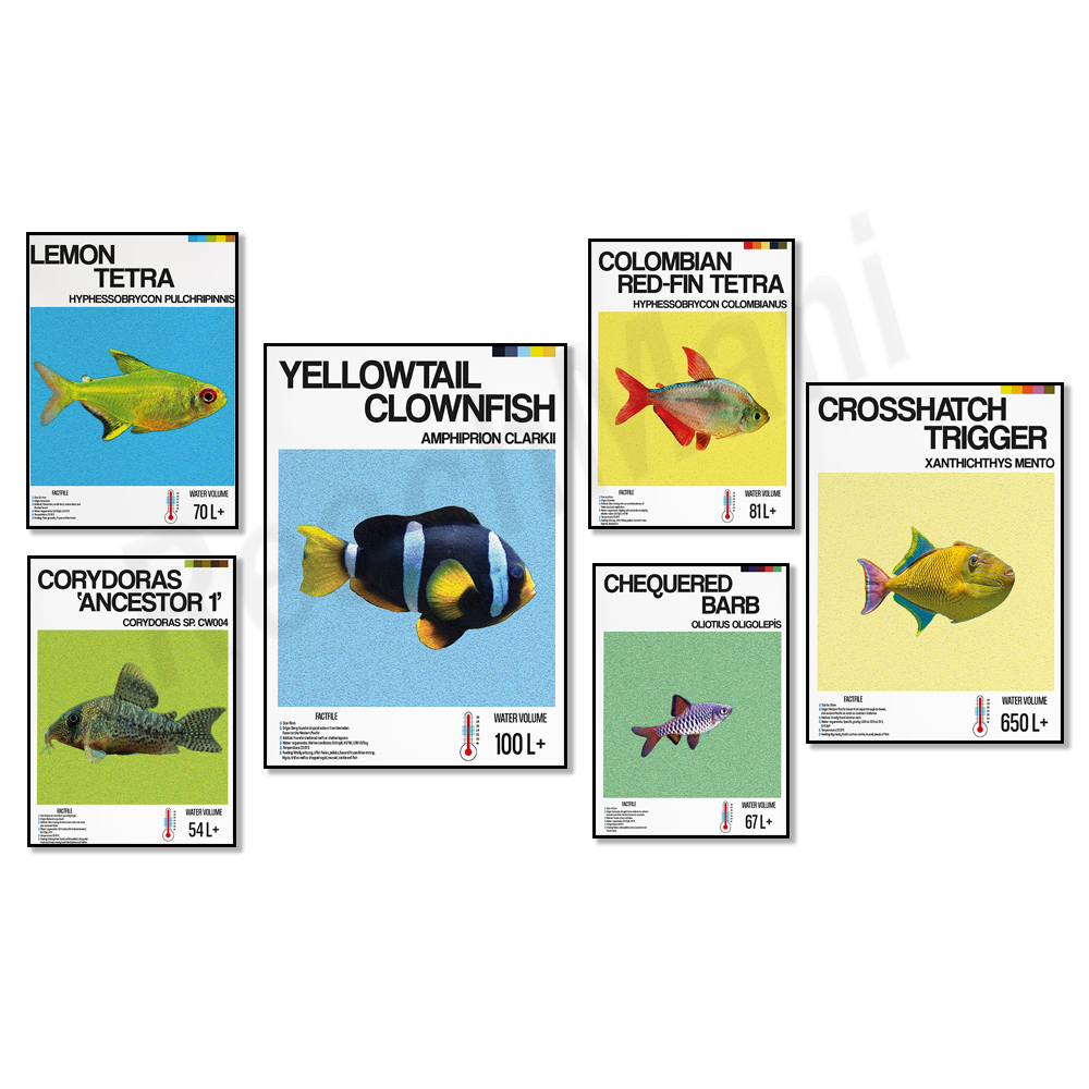 Aquarium, yellow tail clownfis - Tetra Fish In Aquarium のレビューと価格