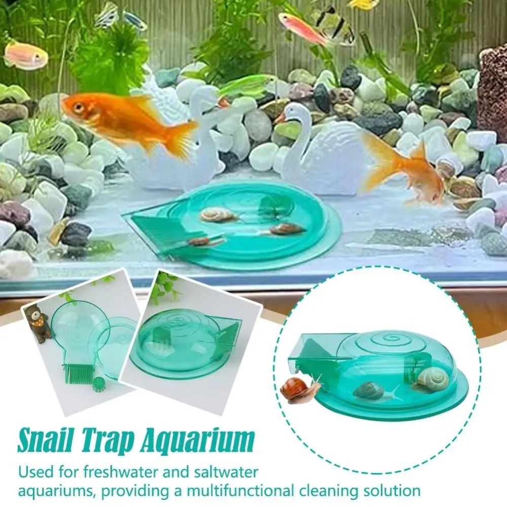 Freshwater Saltwater Aquarium  - Aquarium Fish Escape のレビューと価格