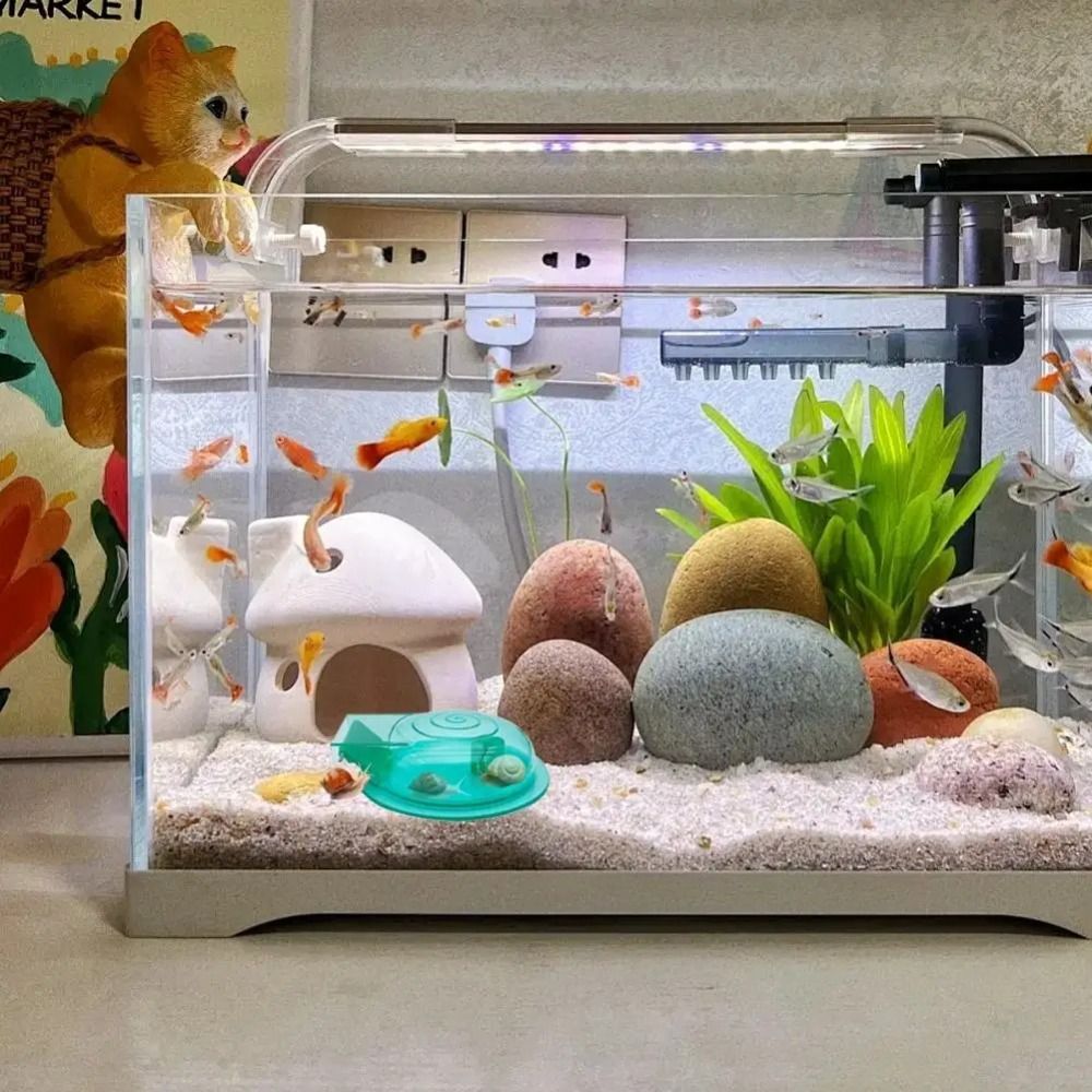 Freshwater Saltwater Aquarium  - Aquarium Fish Escape のレビューと価格