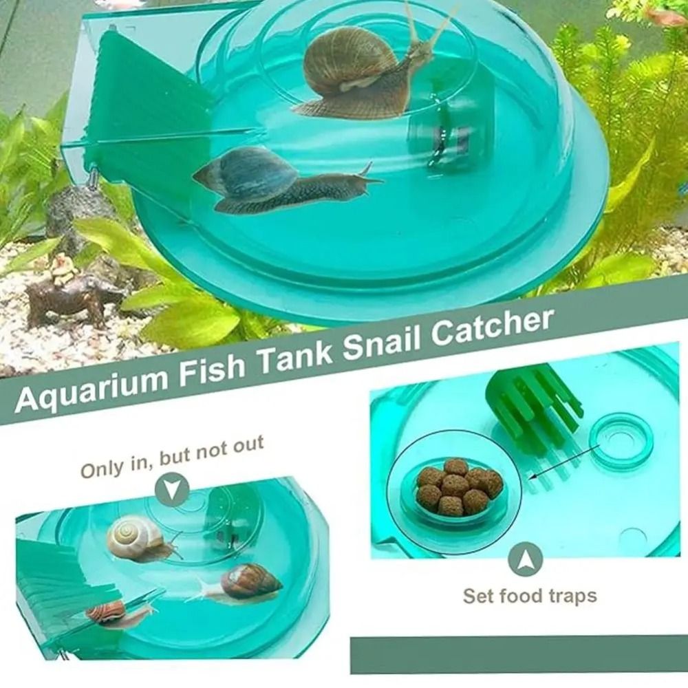 Freshwater Saltwater Aquarium  - Aquarium Fish Escape のレビューと価格