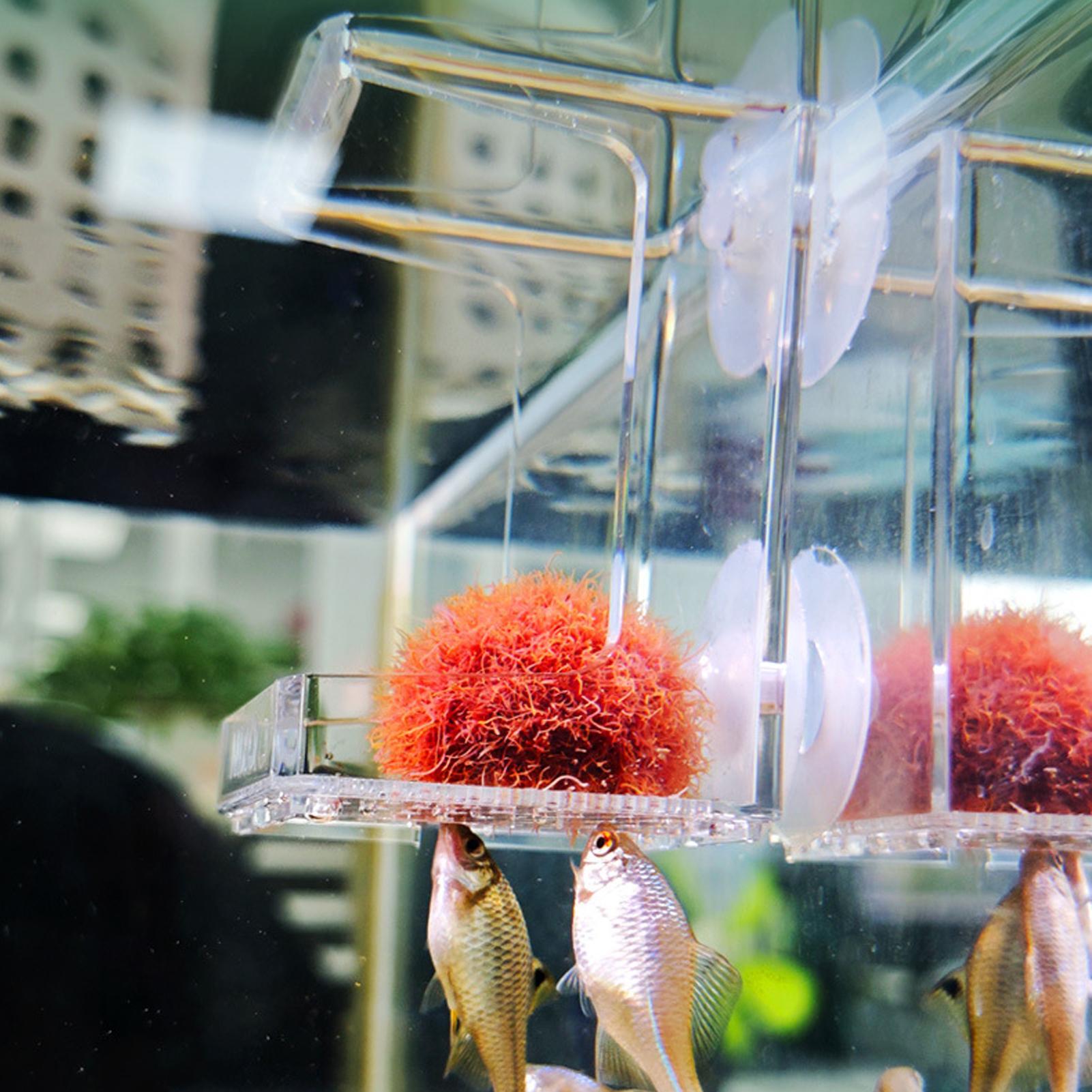Aquarium Feeder Suction Cup Aq - Tetra Fish In Aquarium のレビューと価格
