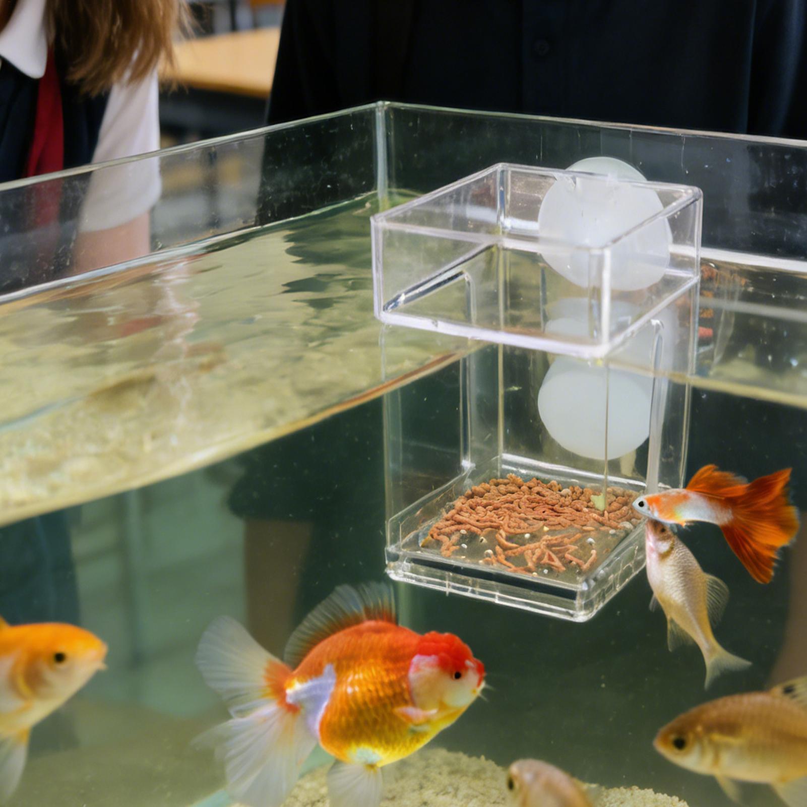Aquarium Feeder Suction Cup Aq - Tetra Fish In Aquarium のレビューと価格