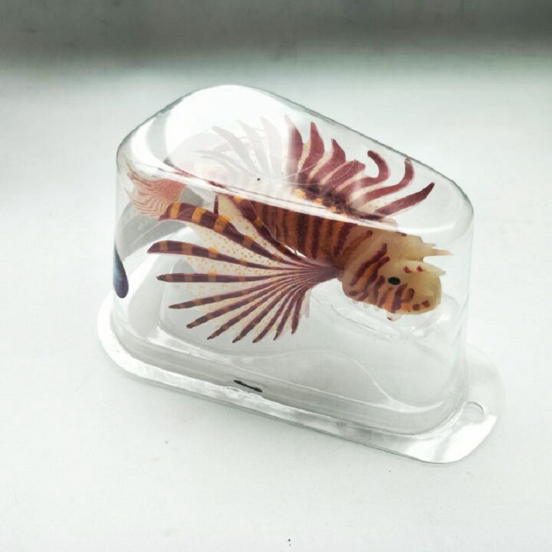Novel and Funny Toy Fish Tank  - Aquarium Fish Exporter のレビューと価格