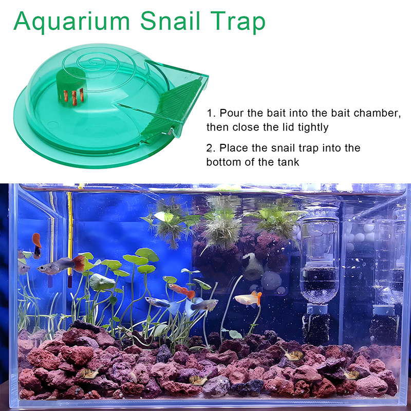Aquarium Snail Trap, Plastic S - Aquarium Fish Green のレビューと価格