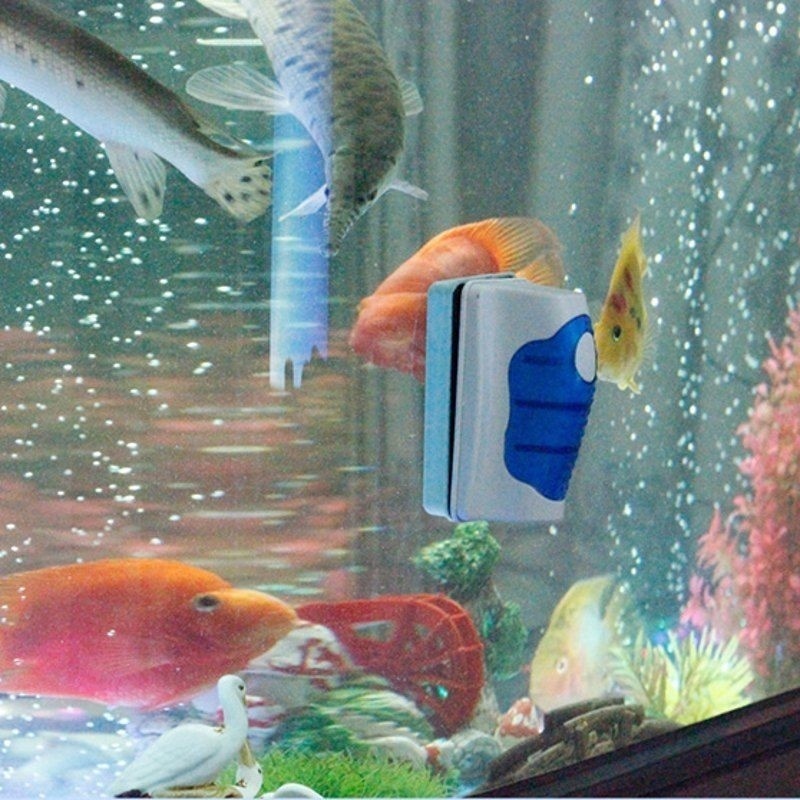 Fish Tank Glass Scraper Cleane - Aquarium Fish Escape のレビューと価格