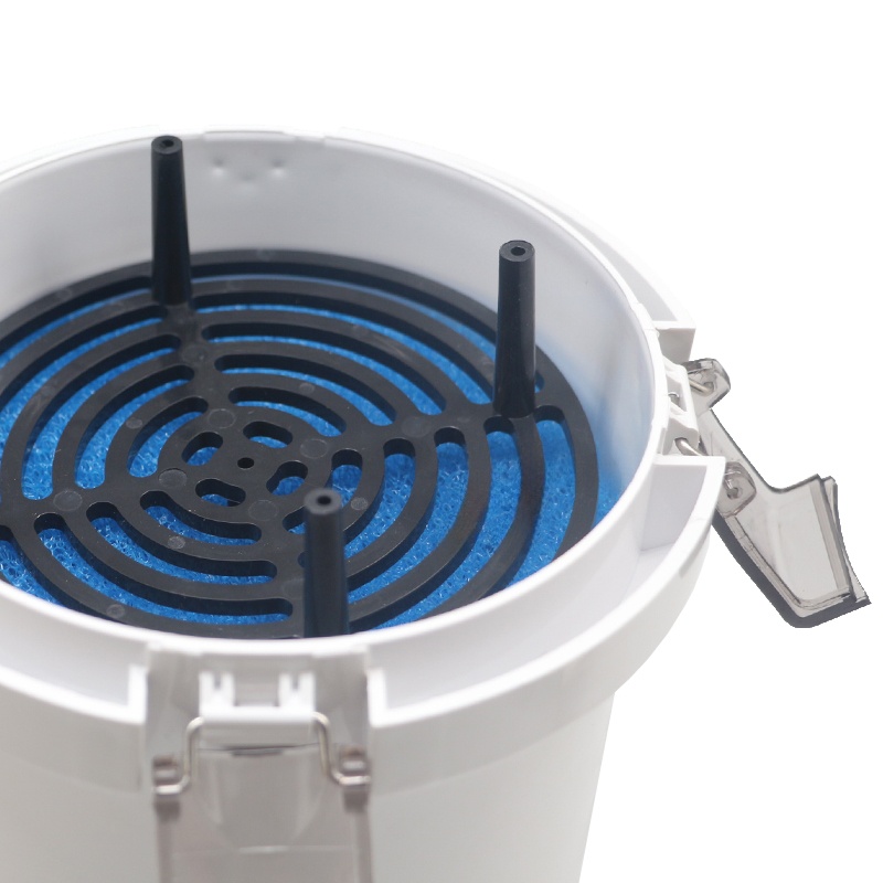 Sensin Small Aquarium Front Fi - Aquarium Fish Small のレビューと価格